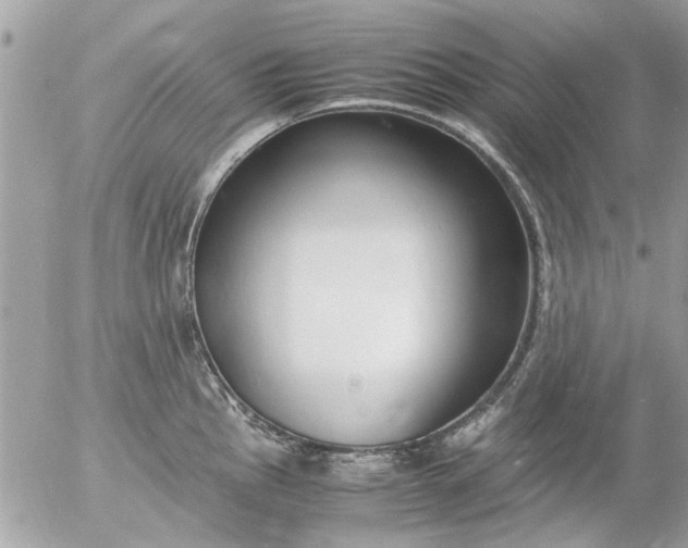 X0000055511145200508262134