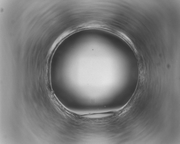 X0000055511146200508262134