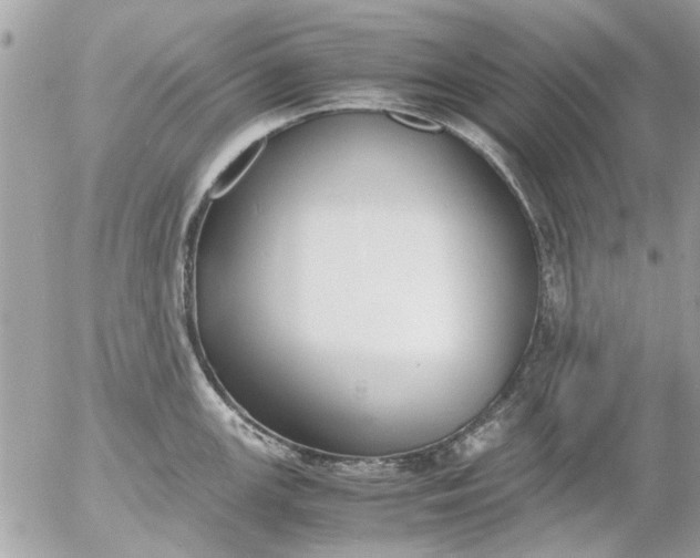 X0000055511147200508262134