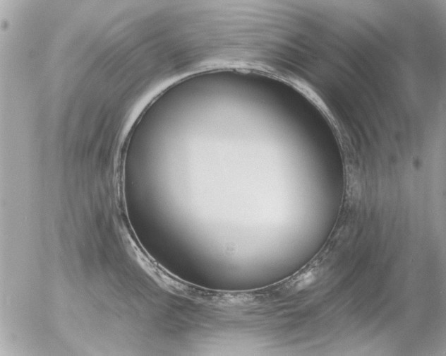 X0000055511148200508262134