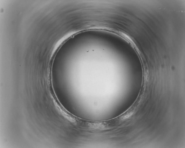 X0000055511149200508262134