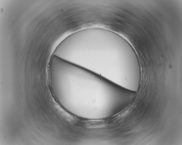 X0000055511151200508262134