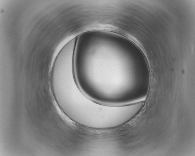 X0000055511152200508262134