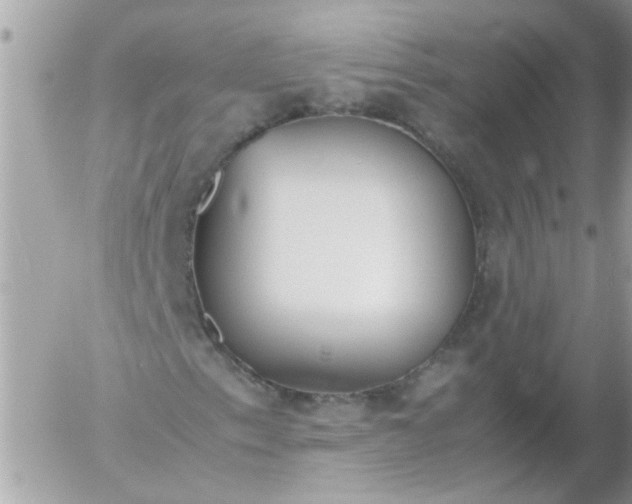 X0000055511153200508262133