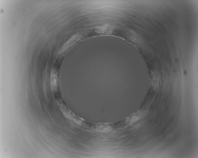 X0000055511154200508262133