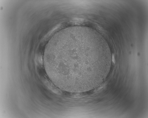 X0000055511155200508262133