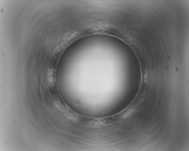 X0000055511156200508262133