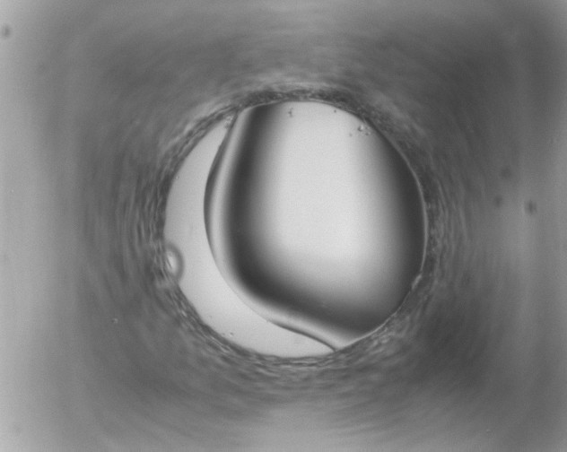 X0000055511157200508262133