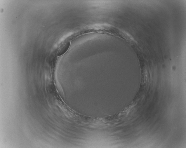 X0000055511158200508262133