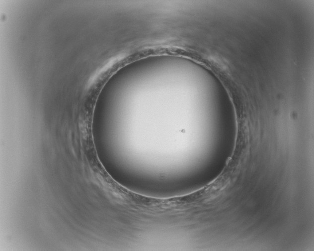 X0000055511159200508262133