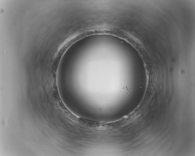 X0000055511160200508262133