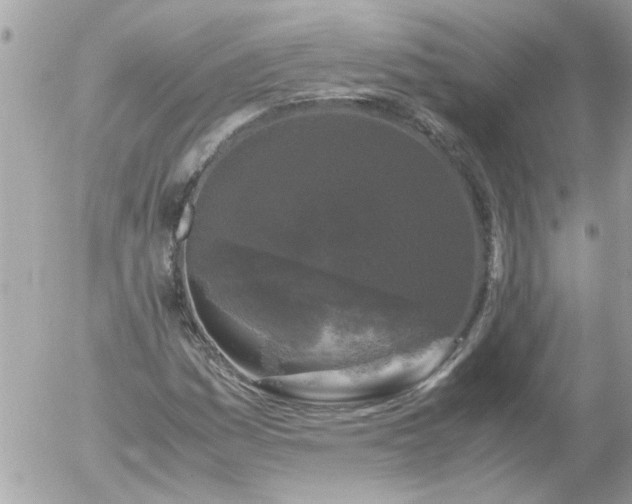 X0000055511161200508262133