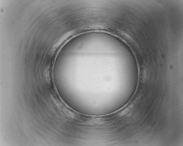 X0000055511162200508262133