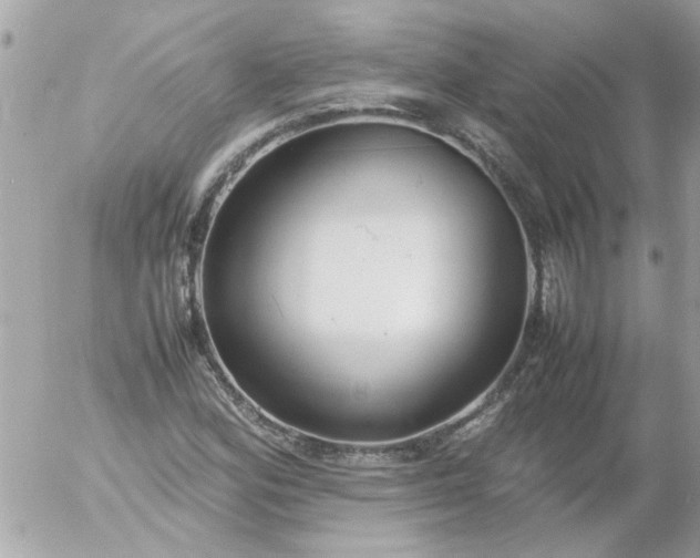 X0000055511164200508262133