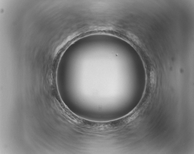 X0000055511165200508262133