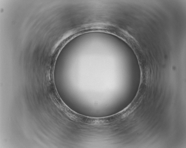 X0000055511166200508262133