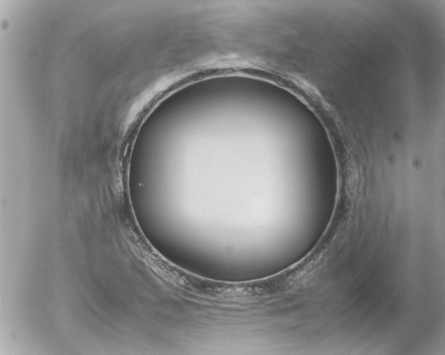 X0000055511167200508262133