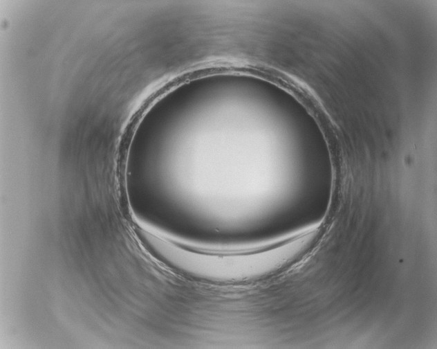 X0000055511168200508262133