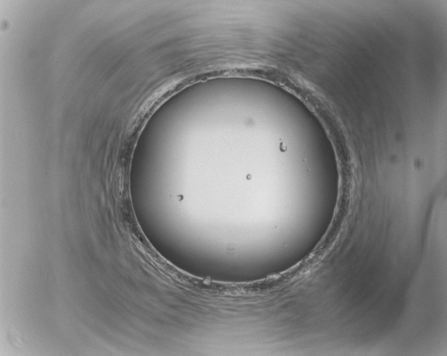 X0000055511169200508262133