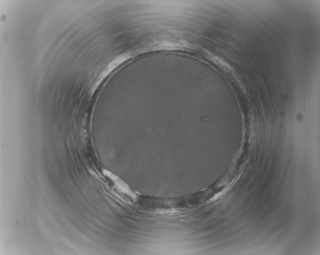 X0000055511170200508262133