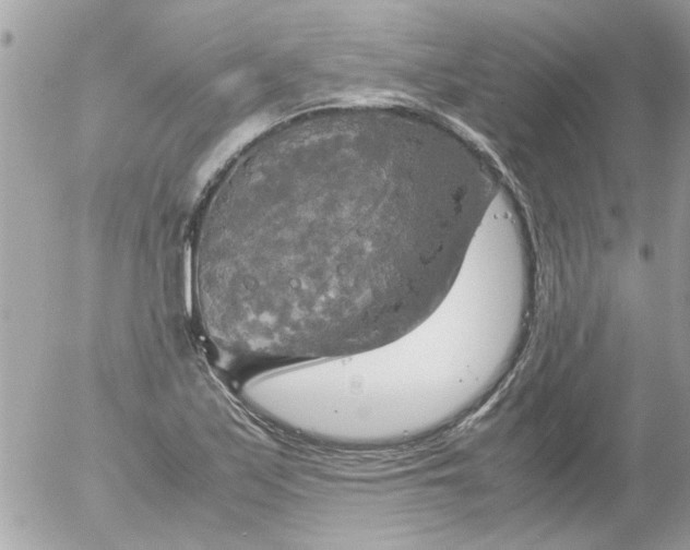 X0000055511171200508262133