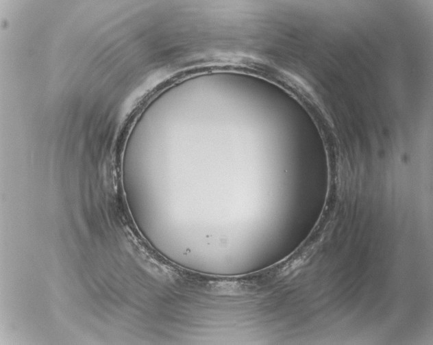 X0000055511172200508262133