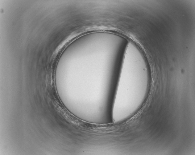 X0000055511173200508262133