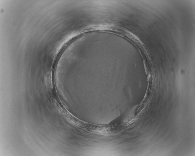 X0000055511174200508262133