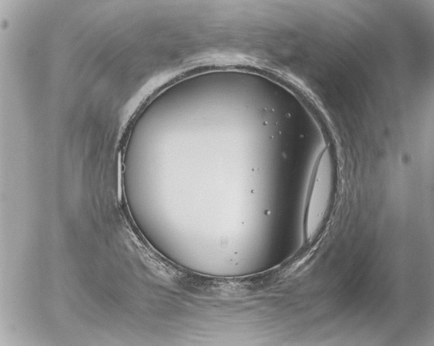 X0000055511175200508262133