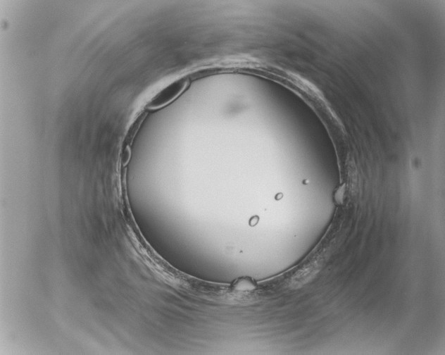 X0000055511176200508262133