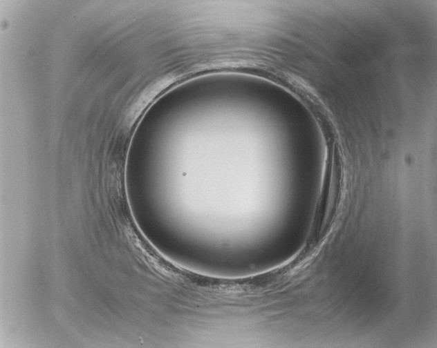 X0000055511177200508262132