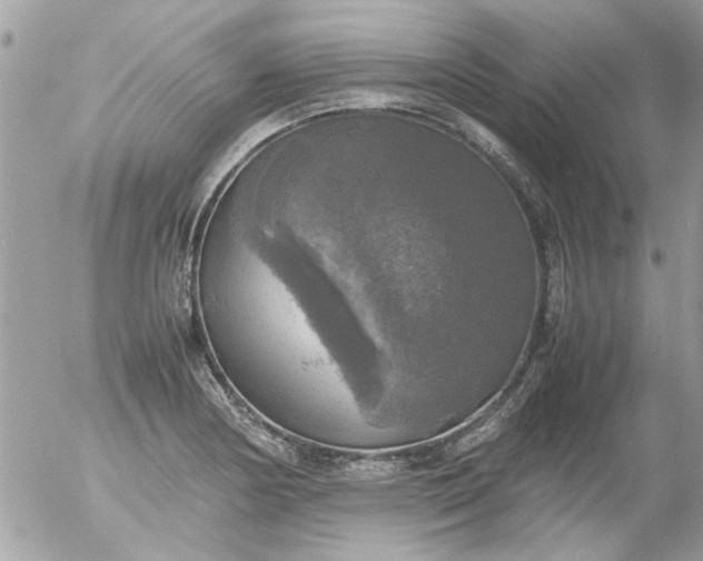 X0000055511178200508262132