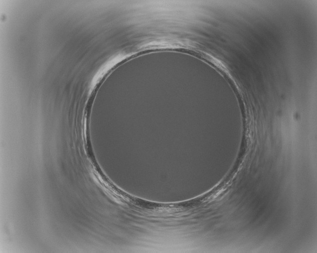 X0000055511179200508262132