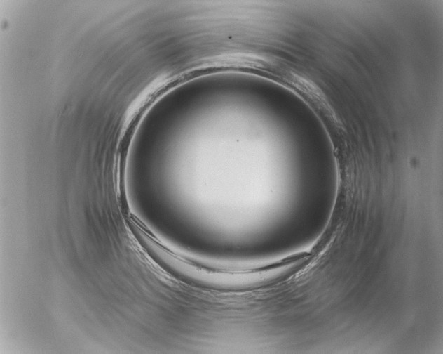 X0000055511180200508262132