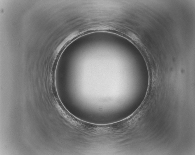 X0000055511181200508262132