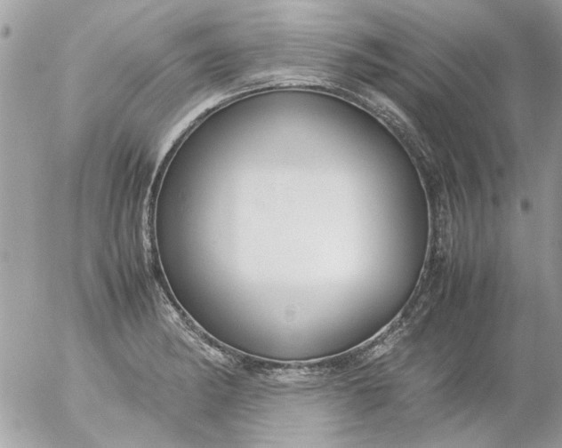 X0000055511182200508262132