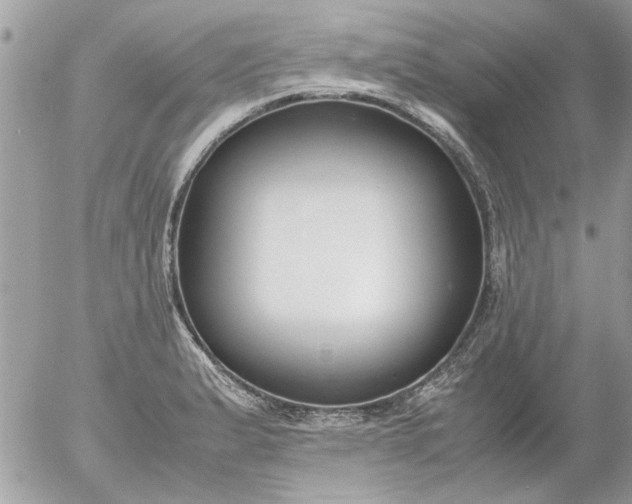 X0000055511183200508262132