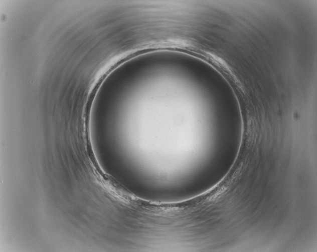 X0000055511184200508262132