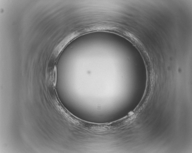 X0000055511185200508262132