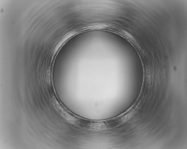 X0000055511186200508262132