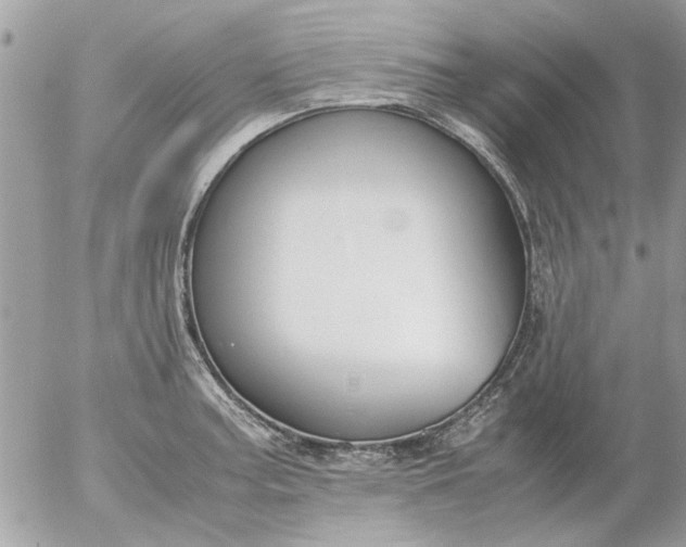 X0000055511187200508262132