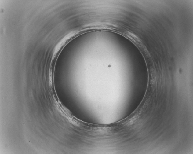 X0000055511188200508262132