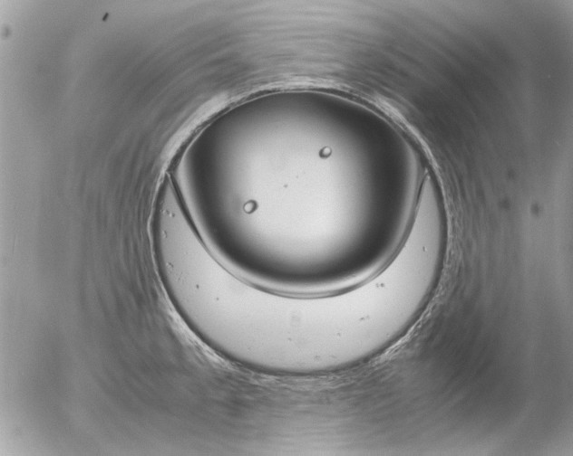 X0000055511189200508262132