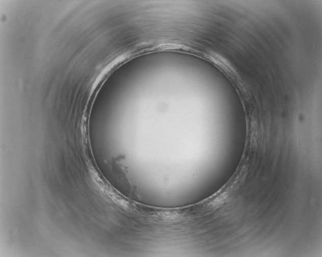 X0000055511190200508262132