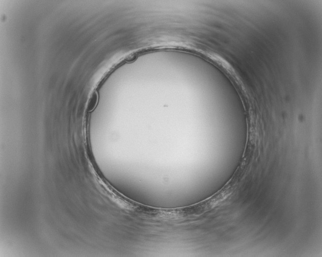 X0000055511191200508262132