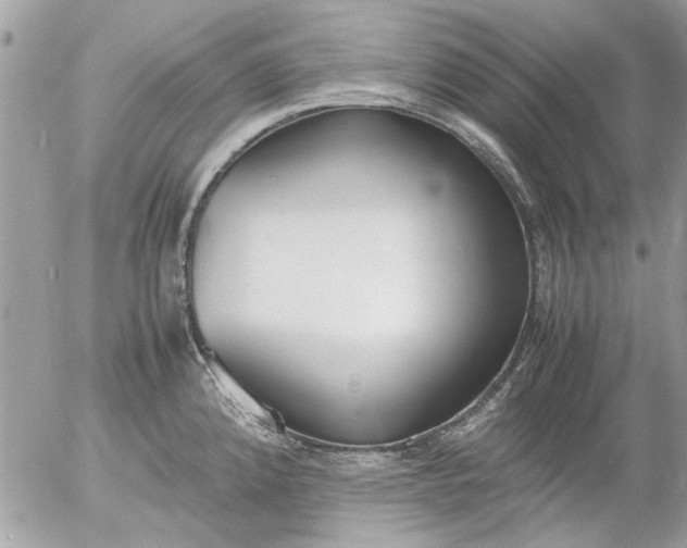 X0000055511192200508262132