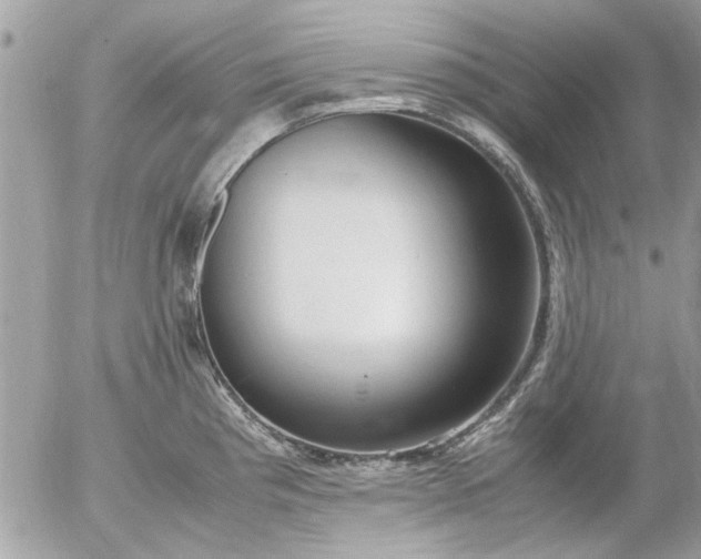 X0000055511193200508262132