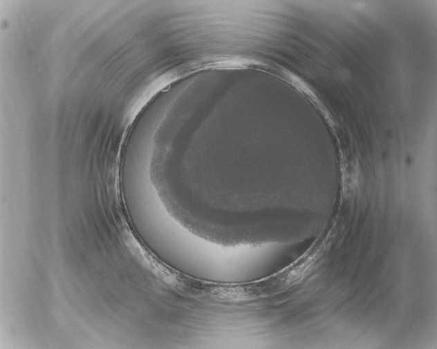 X0000055511194200508262132