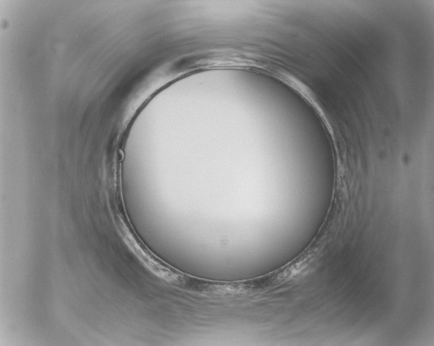 X0000055511195200508262132