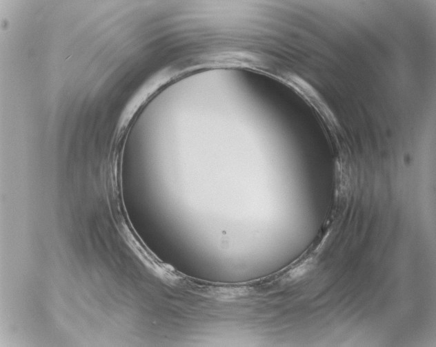 X0000055511196200508262132